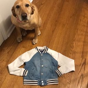 Just a cute picture of Brownie ❤️